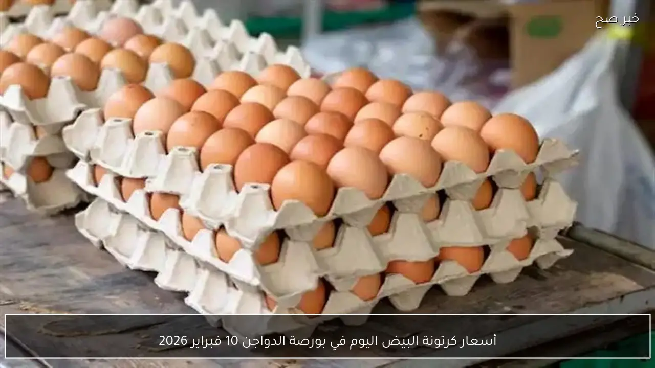 أسعار كرتونة البيض اليوم في بورصة الدواجن 10 فبراير 2026