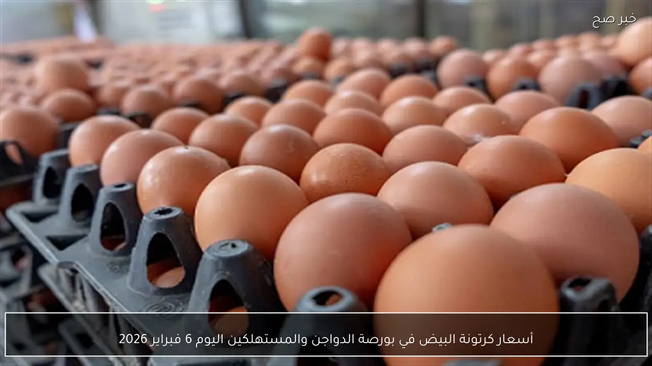 أسعار كرتونة البيض في بورصة الدواجن والمستهلكين اليوم 6 فبراير 2026