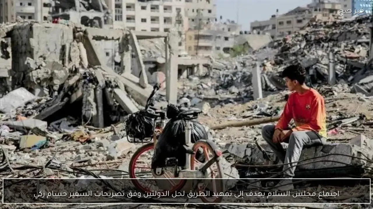 اجتماع مجلس السلام يهدف إلى تمهيد الطريق لحل الدولتين وفق تصريحات السفير حسام زكي