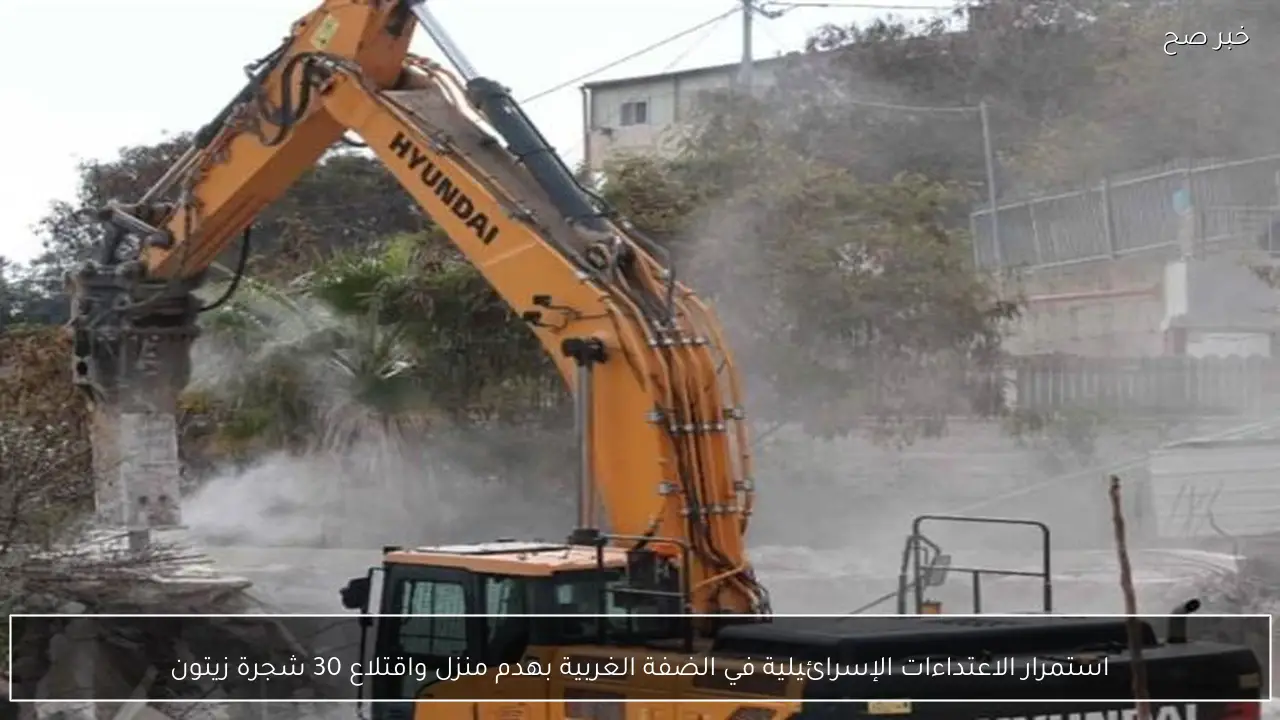 استمرار الاعتداءات الإسرائيلية في الضفة الغربية بهدم منزل واقتلاع 30 شجرة زيتون