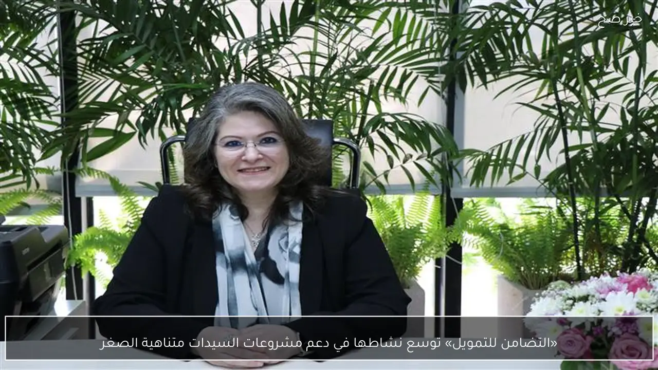 «التضامن للتمويل» توسع نشاطها في دعم مشروعات السيدات متناهية الصغر