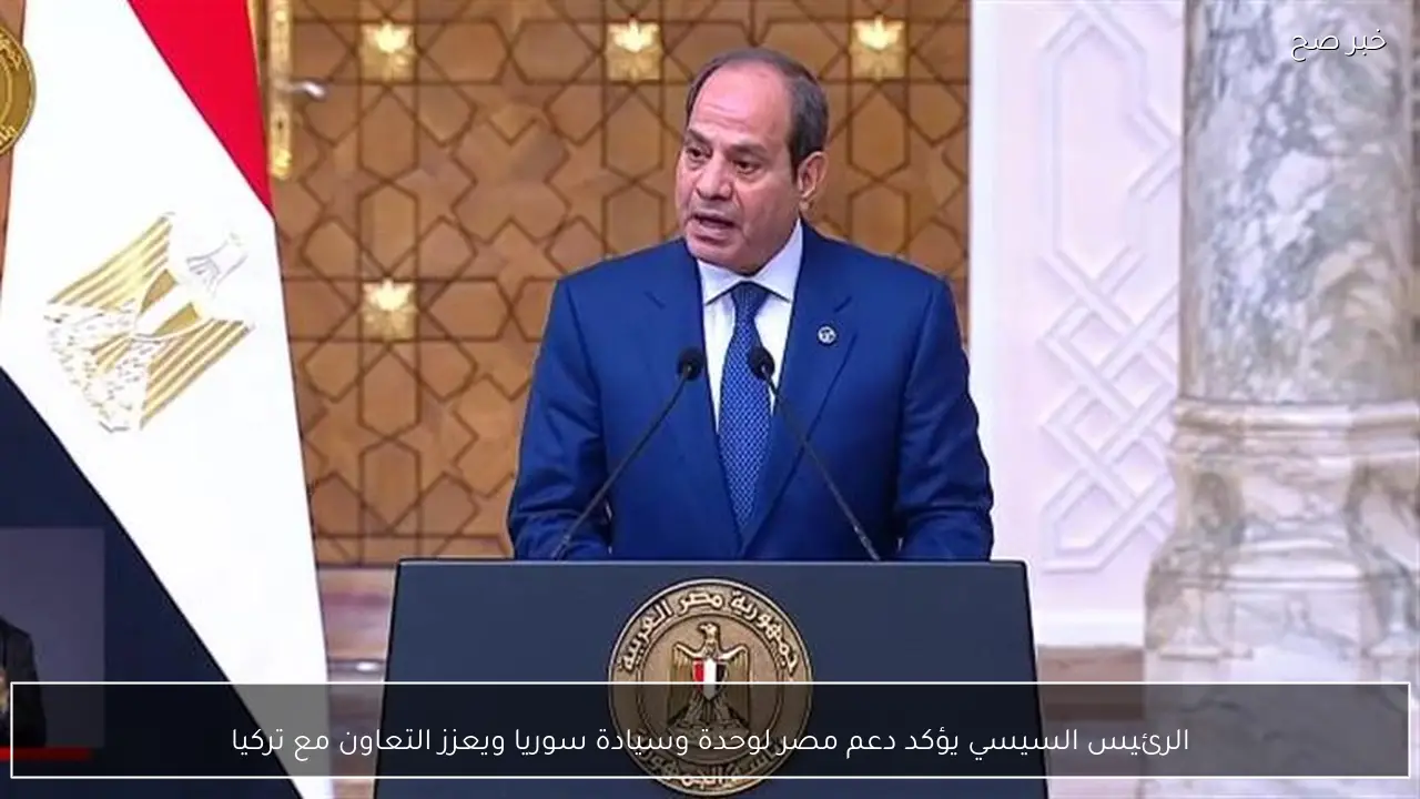 الرئيس السيسي يؤكد دعم مصر لوحدة وسيادة سوريا ويعزز التعاون مع تركيا