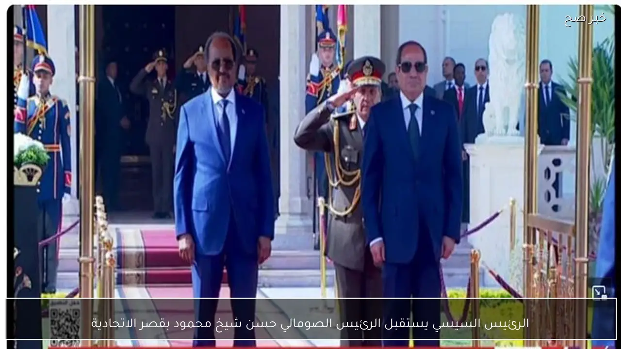 الرئيس السيسي يستقبل الرئيس الصومالي حسن شيخ محمود بقصر الاتحادية