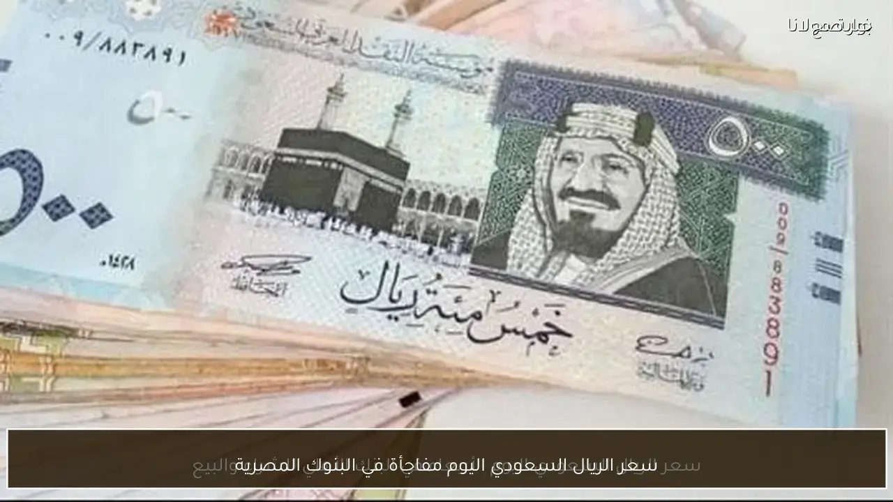 سعر الريال السعودي اليوم الاربعاء 25 فبراير 2026.. مفاجأة البنوك الحكومية