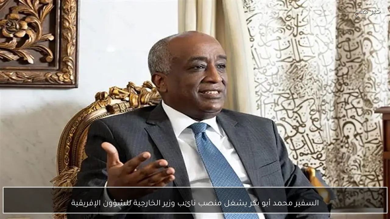 السفير محمد أبو بكر يشغل منصب نائب وزير الخارجية للشؤون الإفريقية