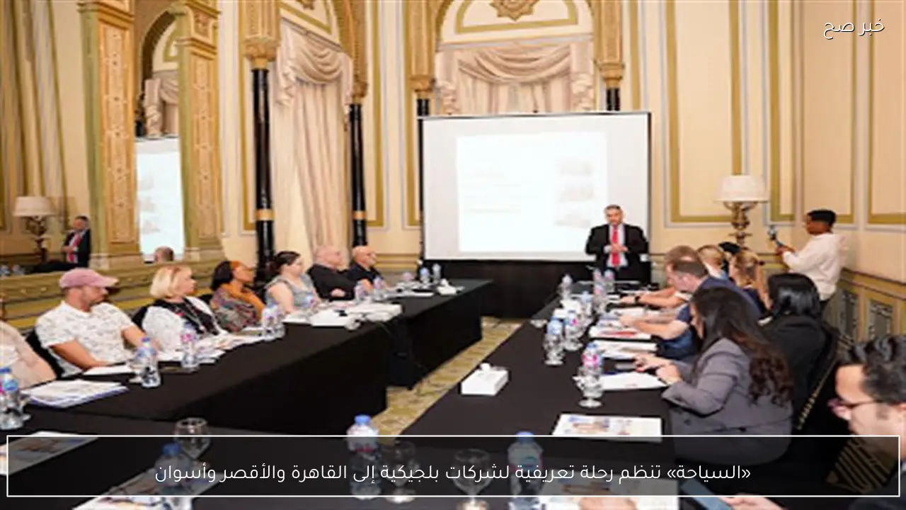 «السياحة» تنظم رحلة تعريفية لشركات بلجيكية إلى القاهرة والأقصر وأسوان