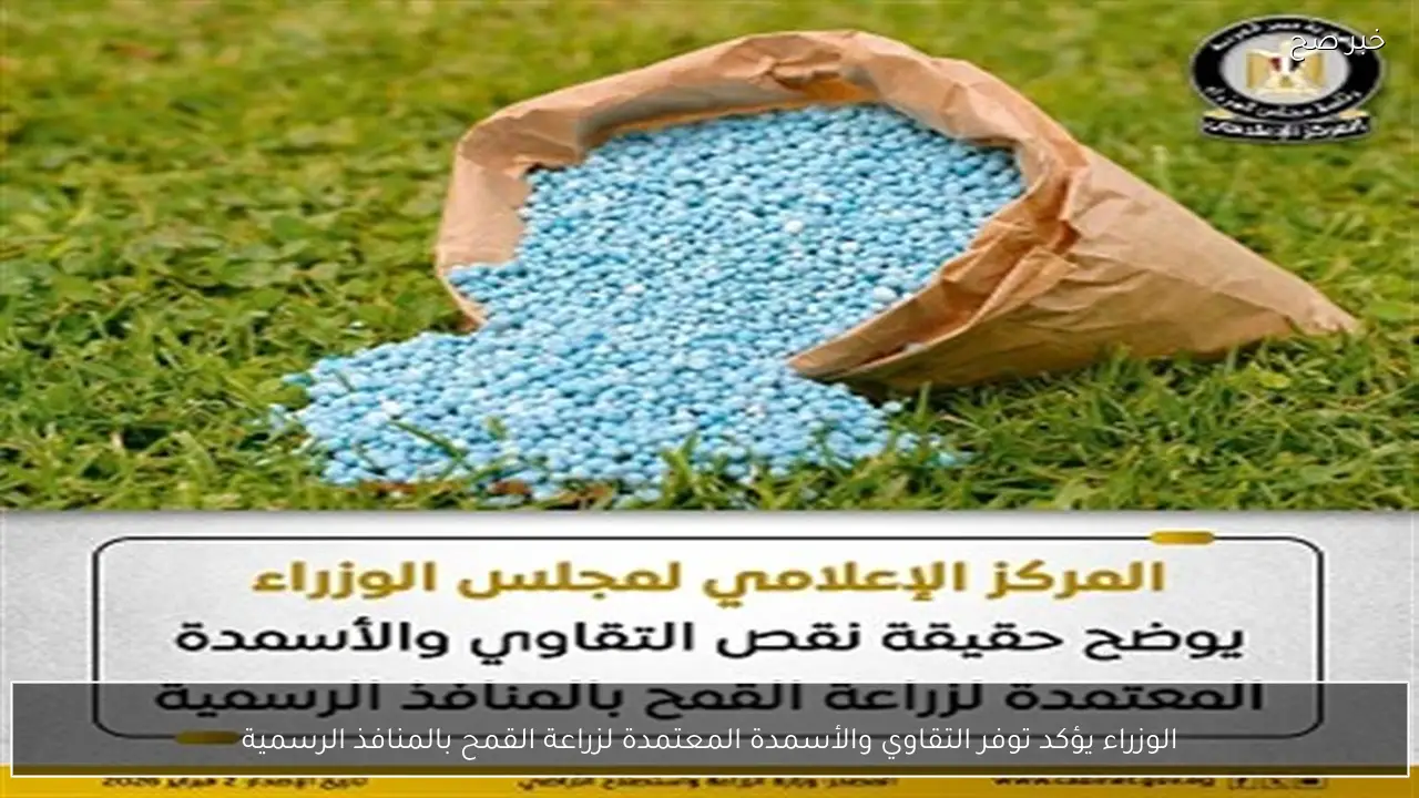 الوزراء يؤكد توفر التقاوي والأسمدة المعتمدة لزراعة القمح بالمنافذ الرسمية