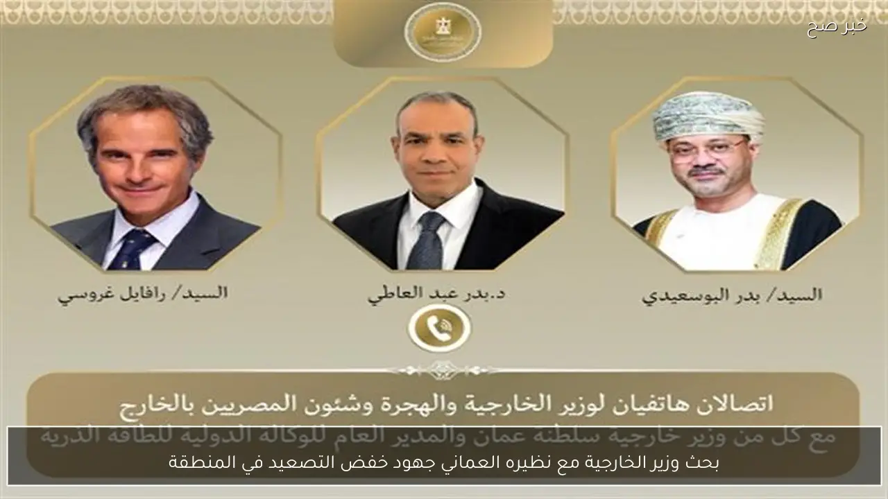 بحث وزير الخارجية مع نظيره العماني جهود خفض التصعيد في المنطقة