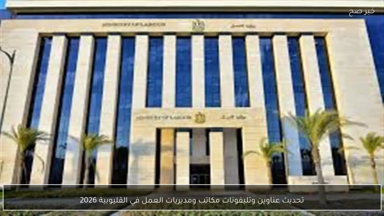 تحديث عناوين وتليفونات مكاتب ومديريات العمل في القليوبية 2026