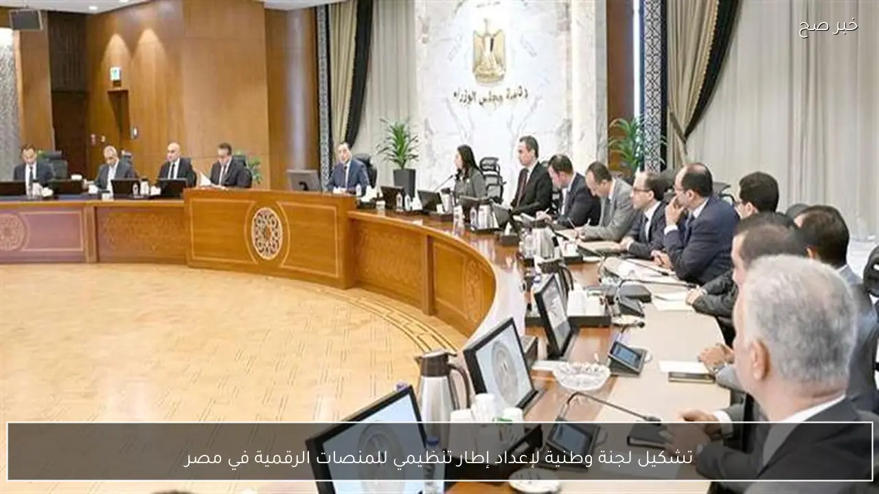 تشكيل لجنة وطنية لإعداد إطار تنظيمي للمنصات الرقمية في مصر