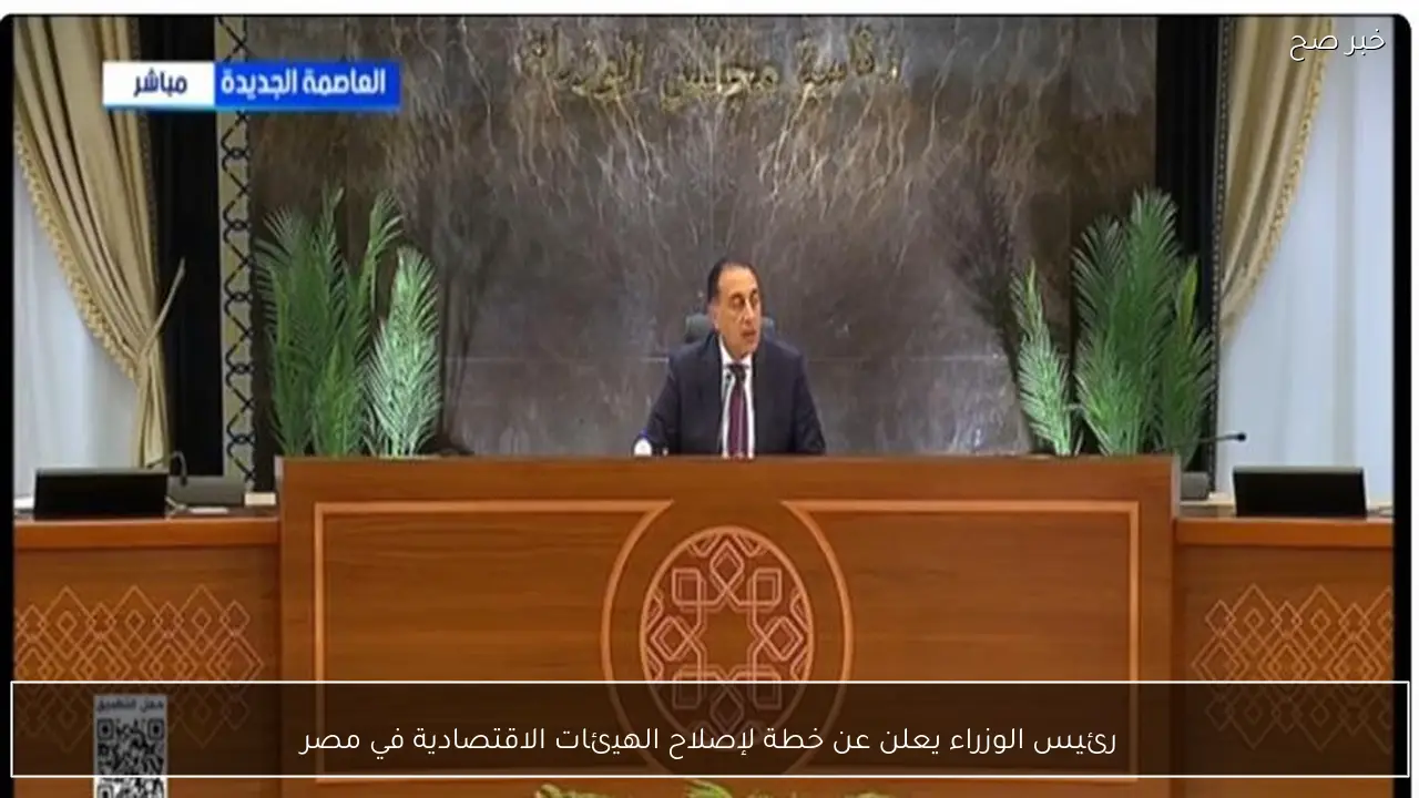 رئيس الوزراء يعلن عن خطة لإصلاح الهيئات الاقتصادية في مصر