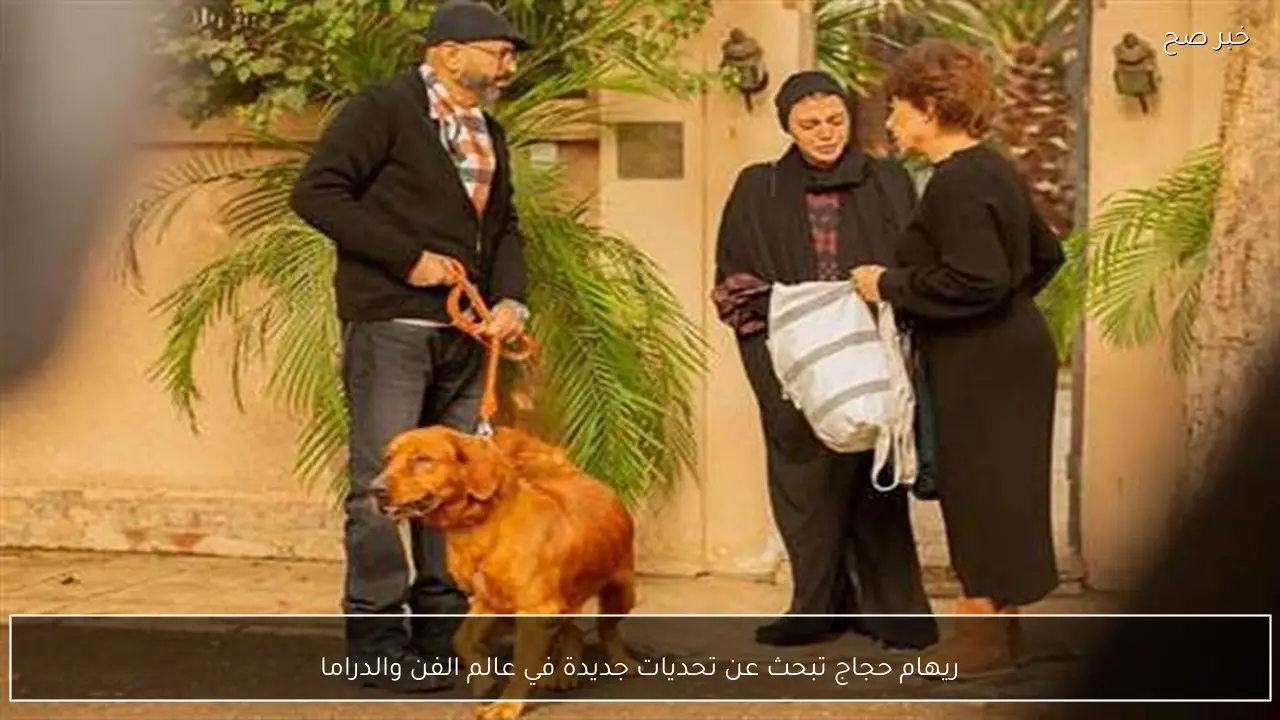 ريهام حجاج تبحث عن تحديات جديدة في عالم الفن والدراما