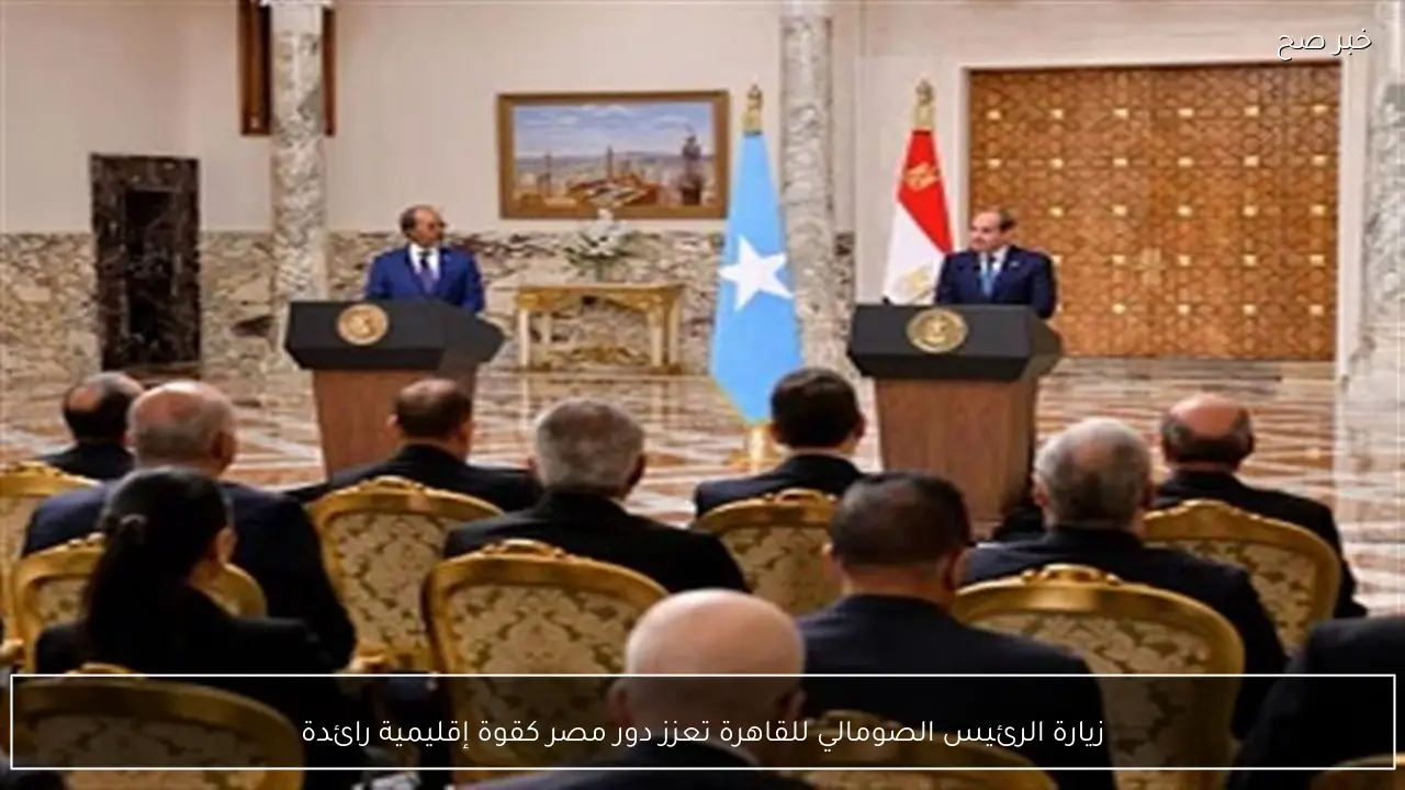 زيارة الرئيس الصومالي للقاهرة تعزز دور مصر كقوة إقليمية رائدة