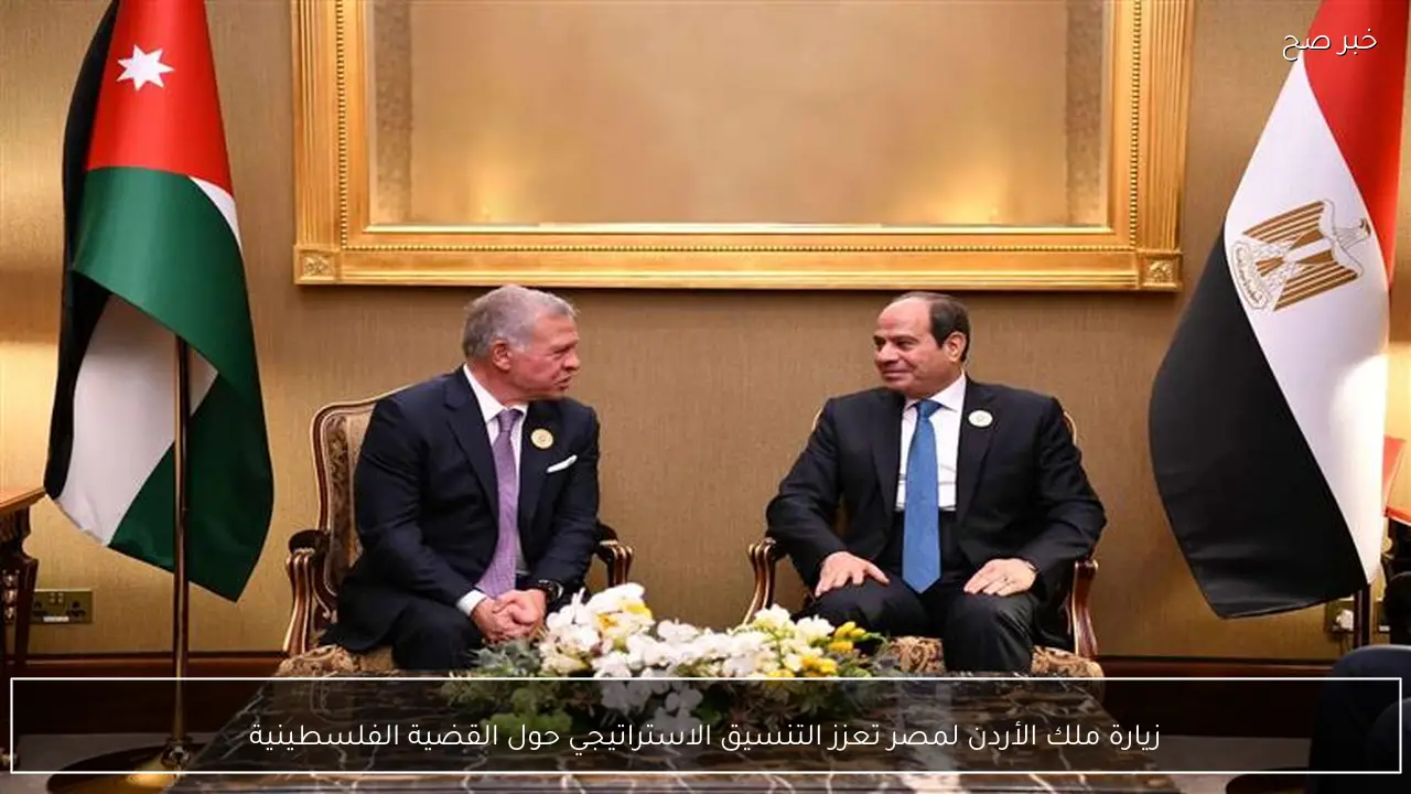 زيارة ملك الأردن لمصر تعزز التنسيق الاستراتيجي حول القضية الفلسطينية