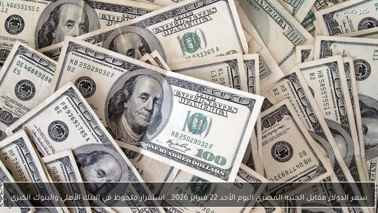 سعر الدولار مقابل الجنيه المصري اليوم الأحد 22 فبراير 2026.. استقرار ملحوظ في البنك الأهلي والبنوك الكبرى