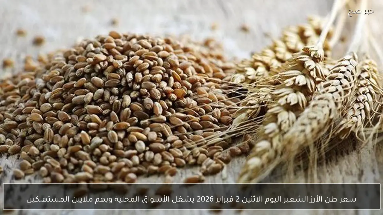 سعر طن الأرز الشعير اليوم الاثنين 2 فبراير 2026 يشغل الأسواق المحلية ويهم ملايين المستهلكين