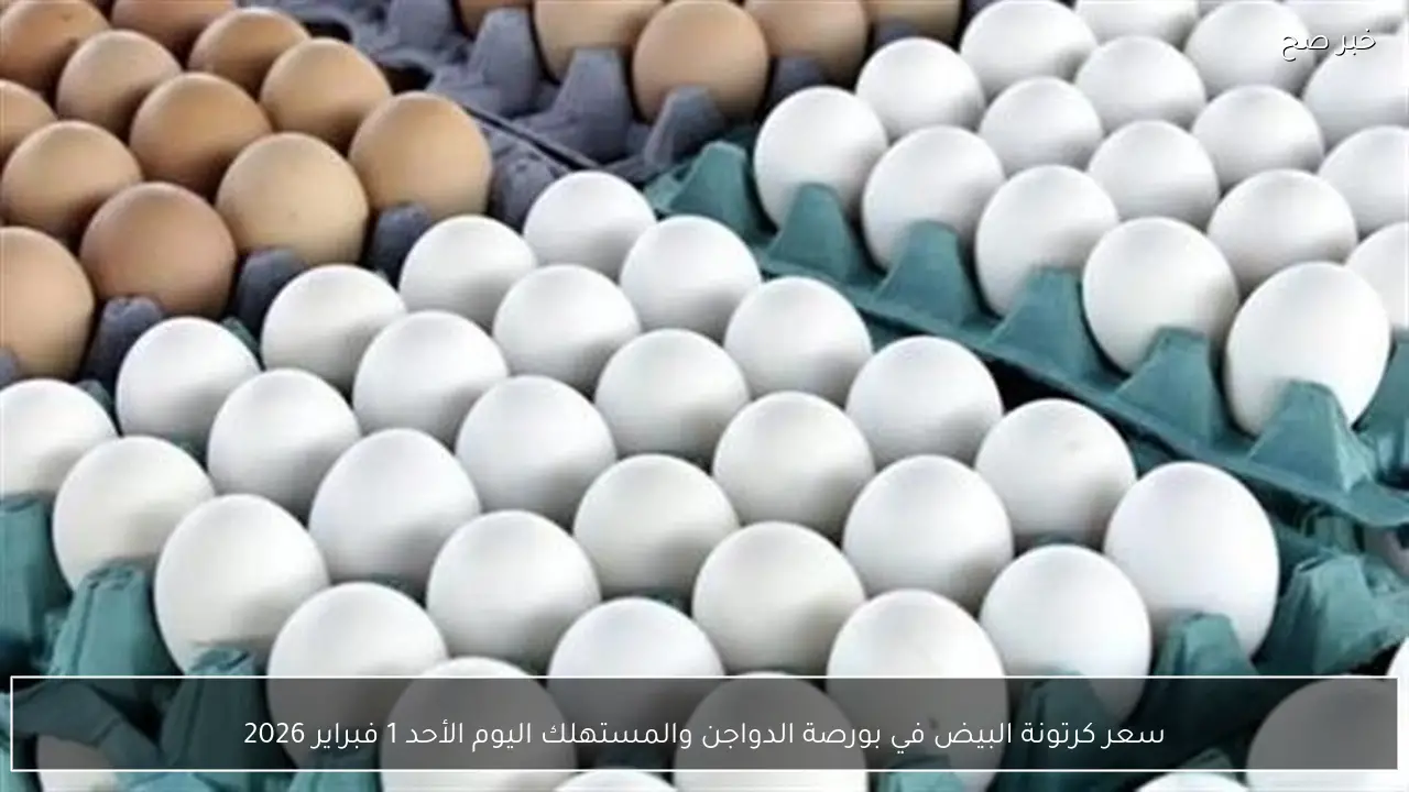 سعر كرتونة البيض في بورصة الدواجن والمستهلك اليوم الأحد 1 فبراير 2026