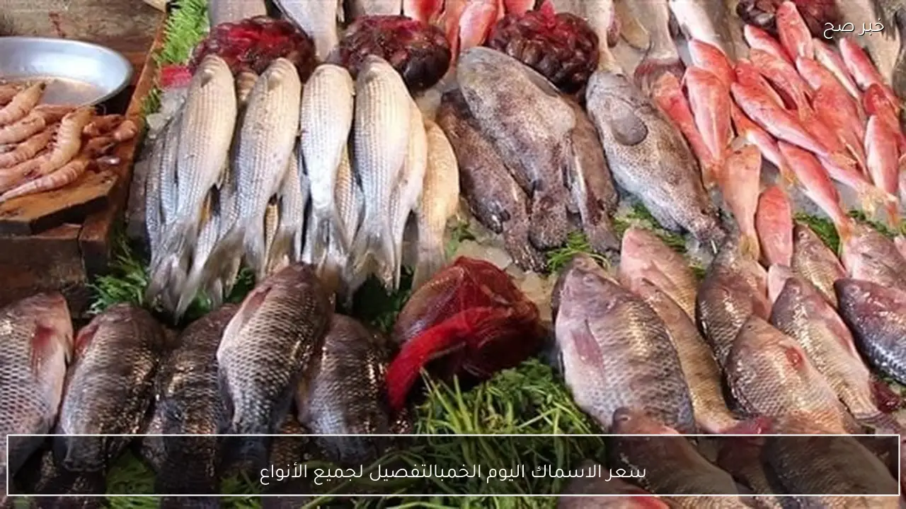 أسعار الاسماك اليوم الخميس 2026 بالتفصيل لجميع الأنواع