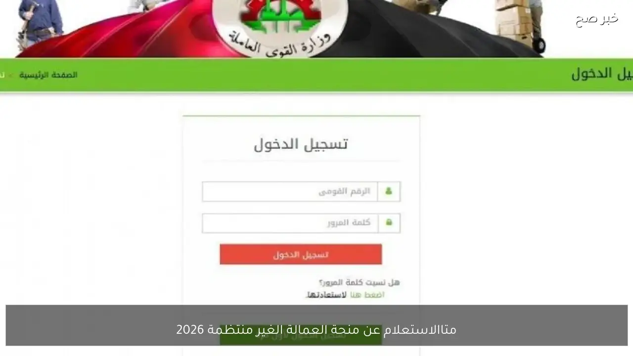 متاح هُنا.. الاستعلام عن منحة العمالة الغير منتظمة 2026 بالرقم القومي عبر موقع وزارة العمل
