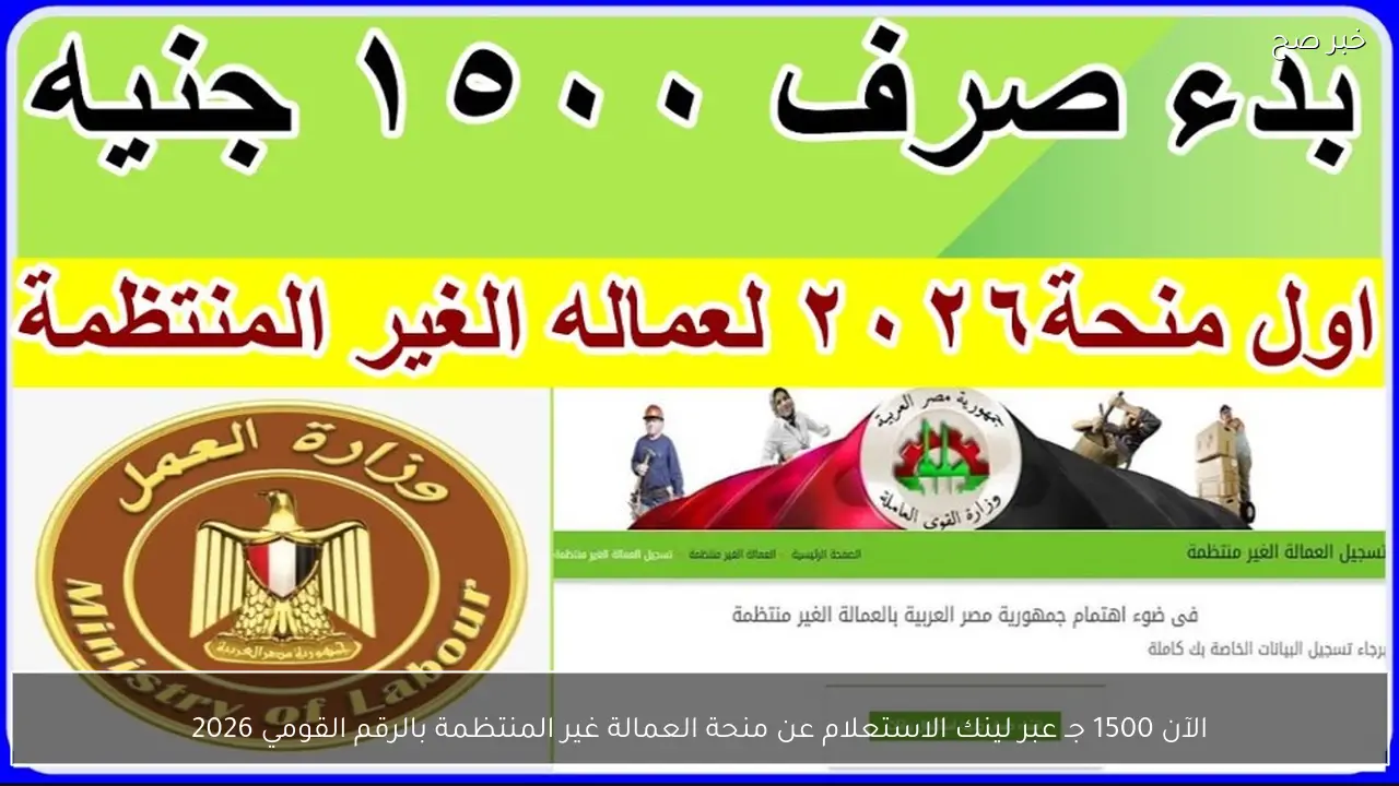 الآن 1500 جـ عبر لينك الاستعلام عن منحة العمالة غير المنتظمة بالرقم القومي 2026