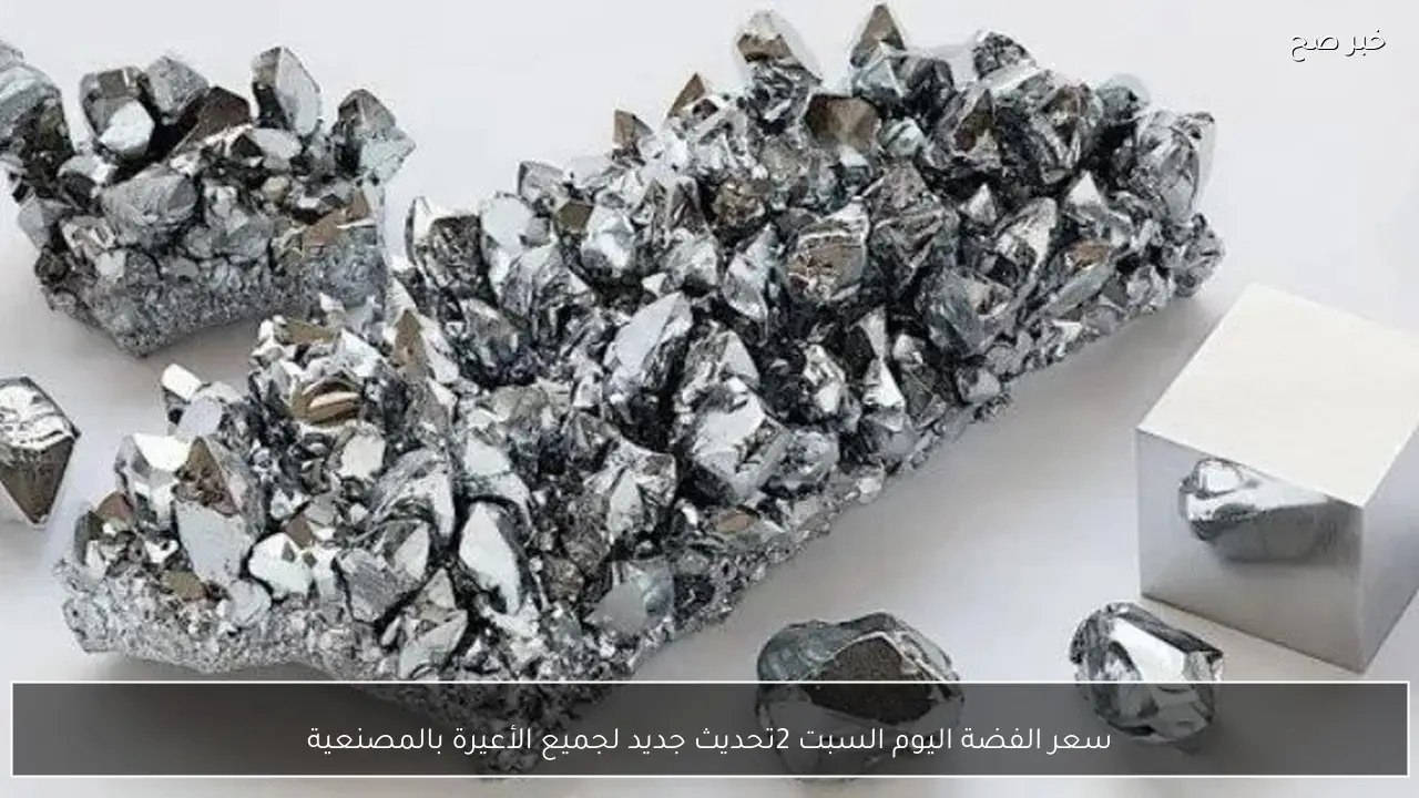 سعر الفضة اليوم السبت 28-2-2026 تحديث جديد لجميع الأعيرة بالمصنعية