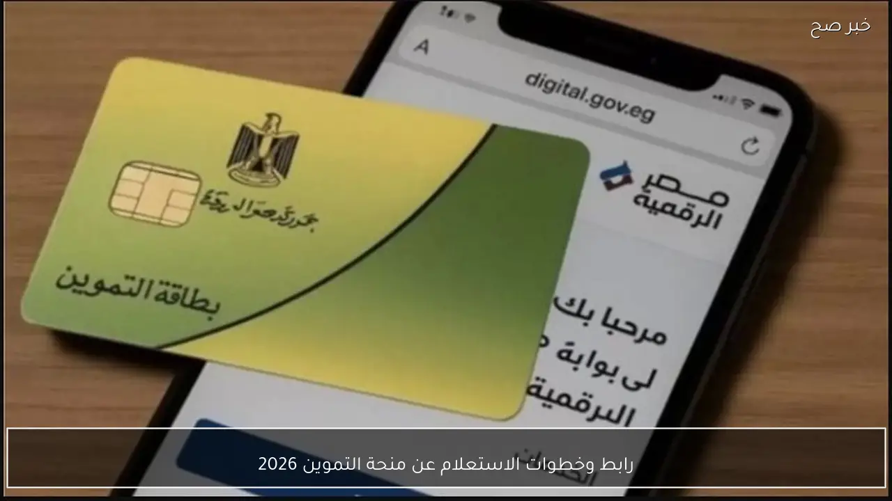 رابط وخطوات الاستعلام عن منحة التموين 2026 لمن يستحق 800 جنيه دعم إضافي