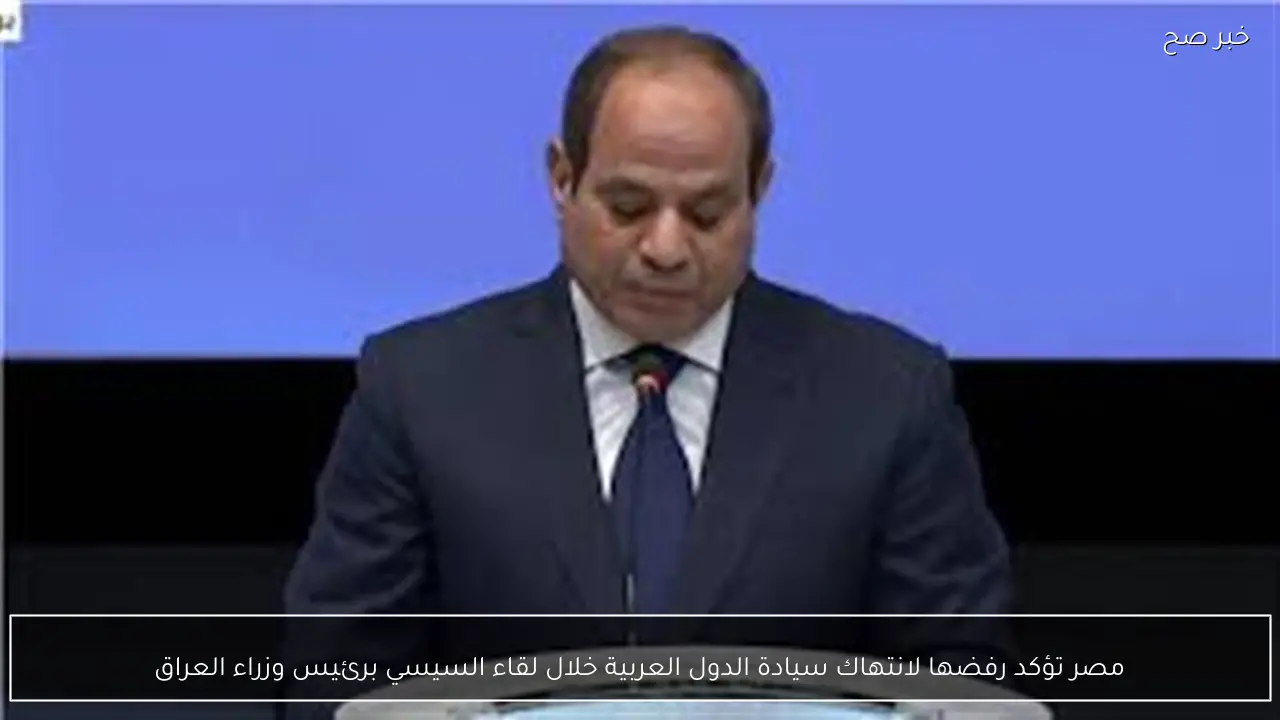 مصر تؤكد رفضها لانتهاك سيادة الدول العربية خلال لقاء السيسي برئيس وزراء العراق