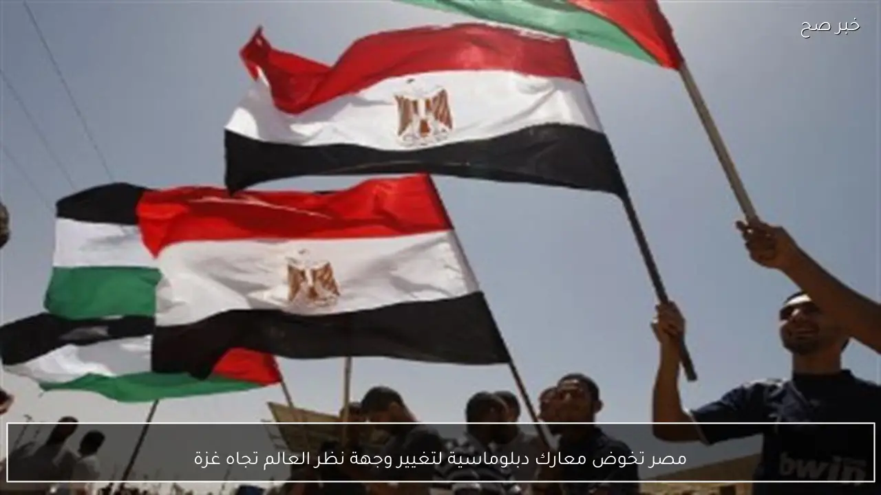 مصر تخوض معارك دبلوماسية لتغيير وجهة نظر العالم تجاه غزة