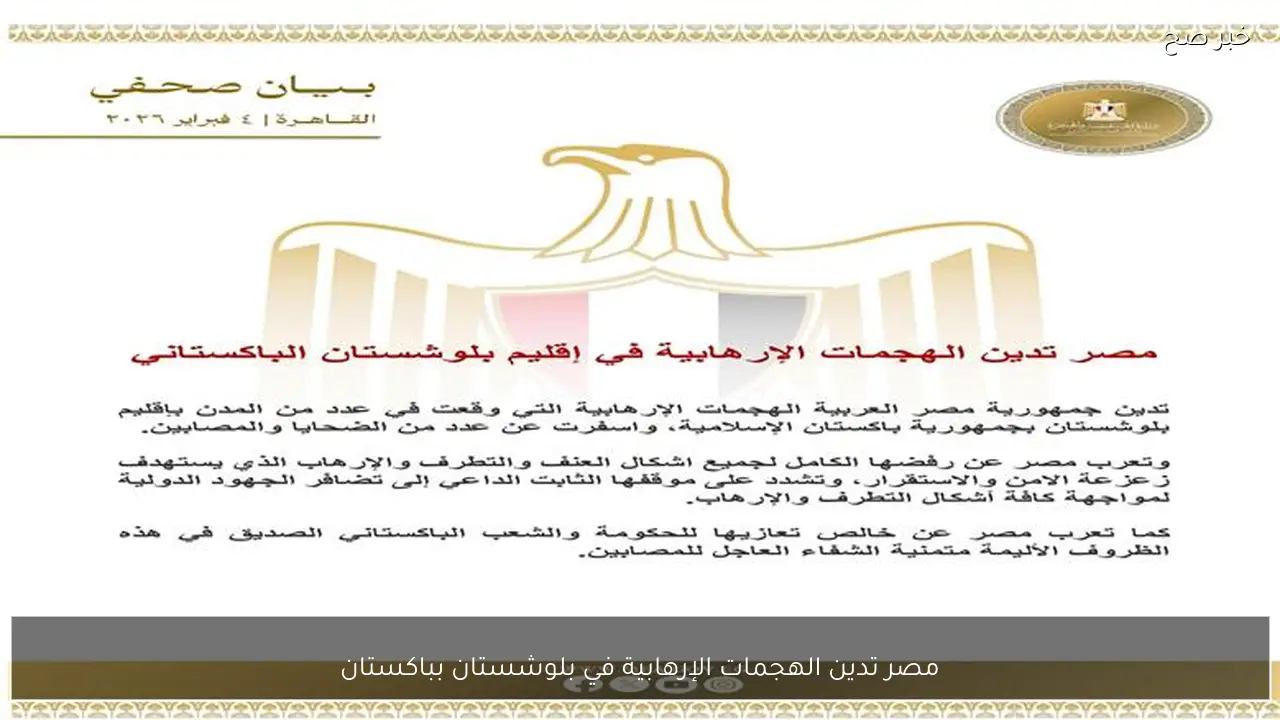 مصر تدين الهجمات الإرهابية في بلوشستان بباكستان