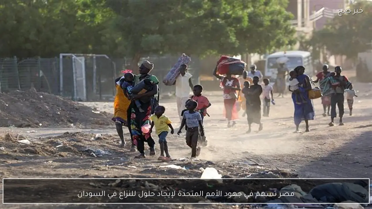 مصر تسهم في جهود الأمم المتحدة لإيجاد حلول للنزاع في السودان