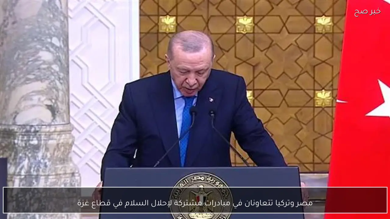 مصر وتركيا تتعاونان في مبادرات مشتركة لإحلال السلام في قطاع غزة