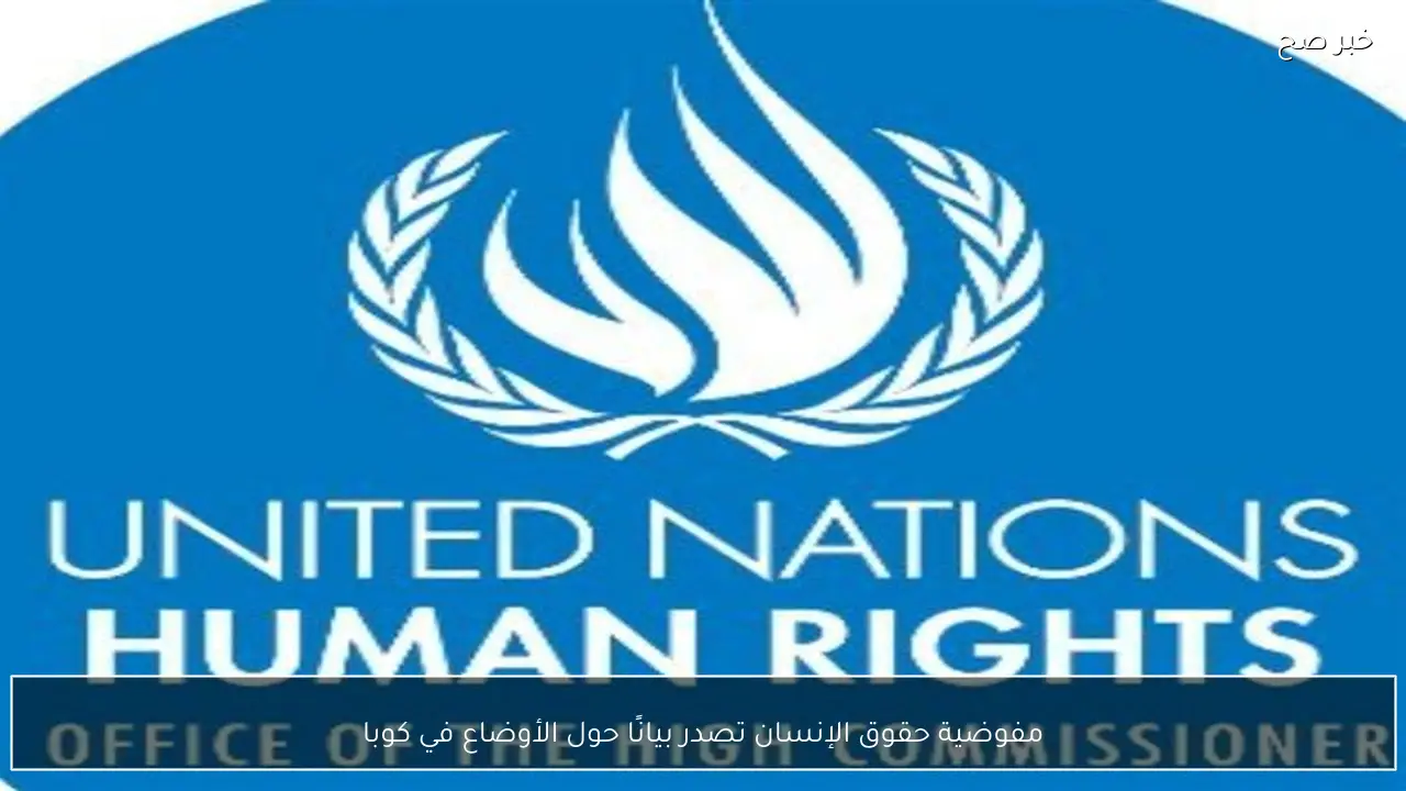 مفوضية حقوق الإنسان تصدر بيانًا حول الأوضاع في كوبا