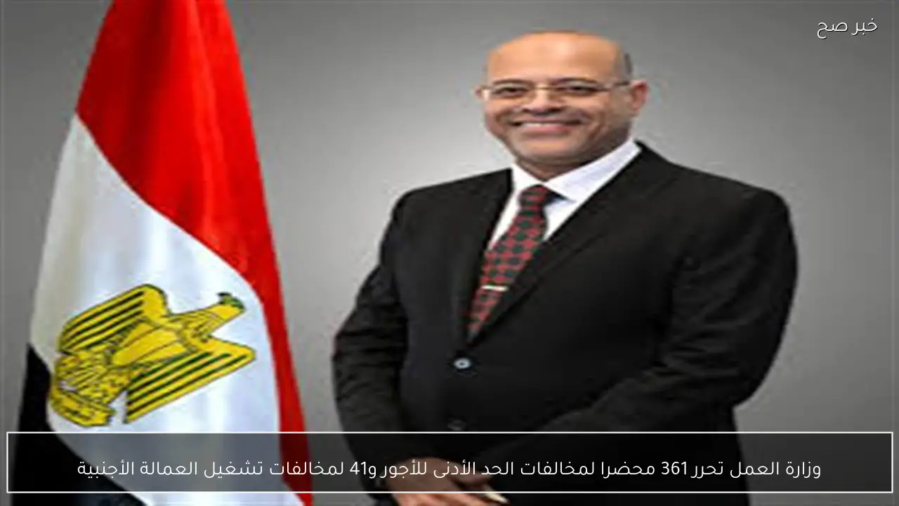 وزارة العمل تحرر 361 محضرا لمخالفات الحد الأدنى للأجور و41 لمخالفات تشغيل العمالة الأجنبية