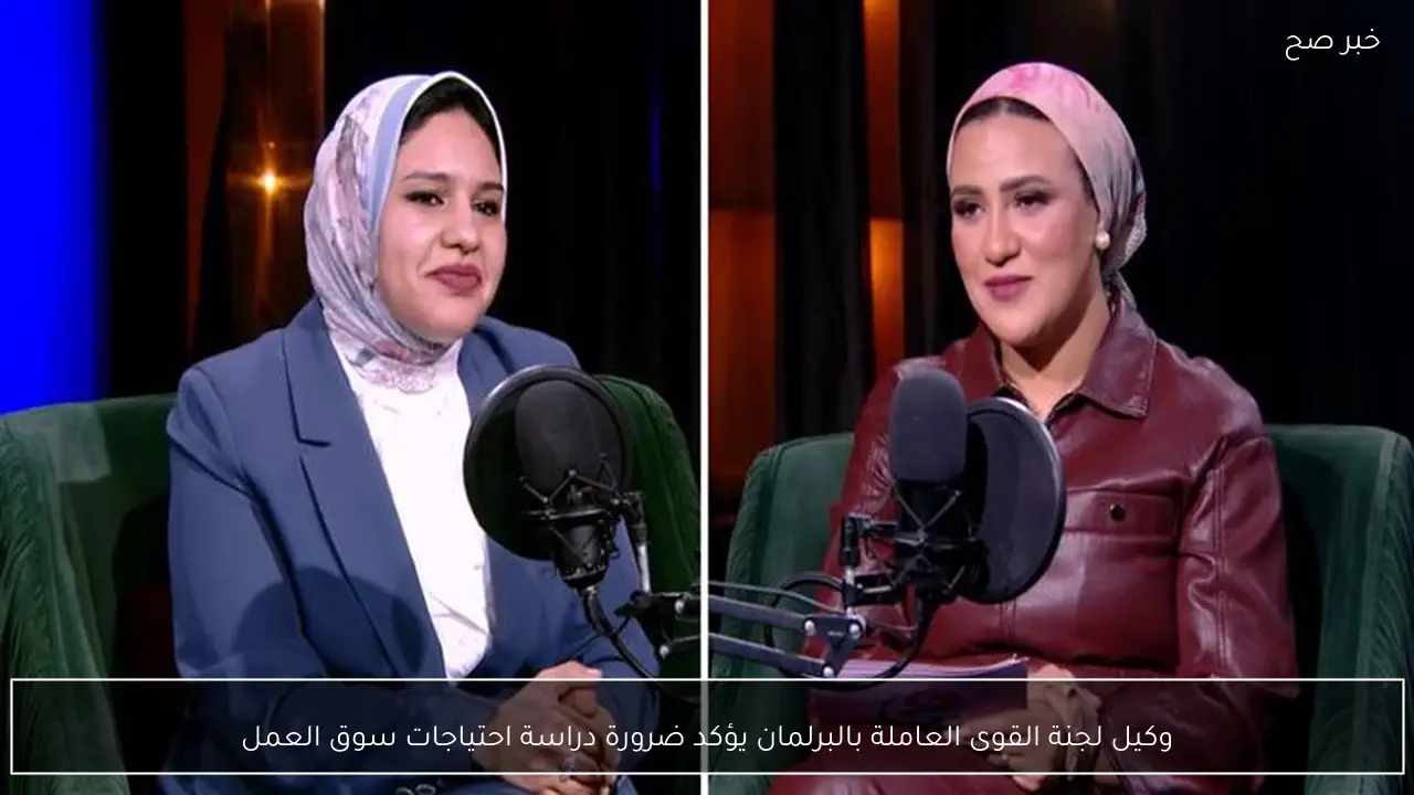 وكيل لجنة القوى العاملة بالبرلمان يؤكد ضرورة دراسة احتياجات سوق العمل