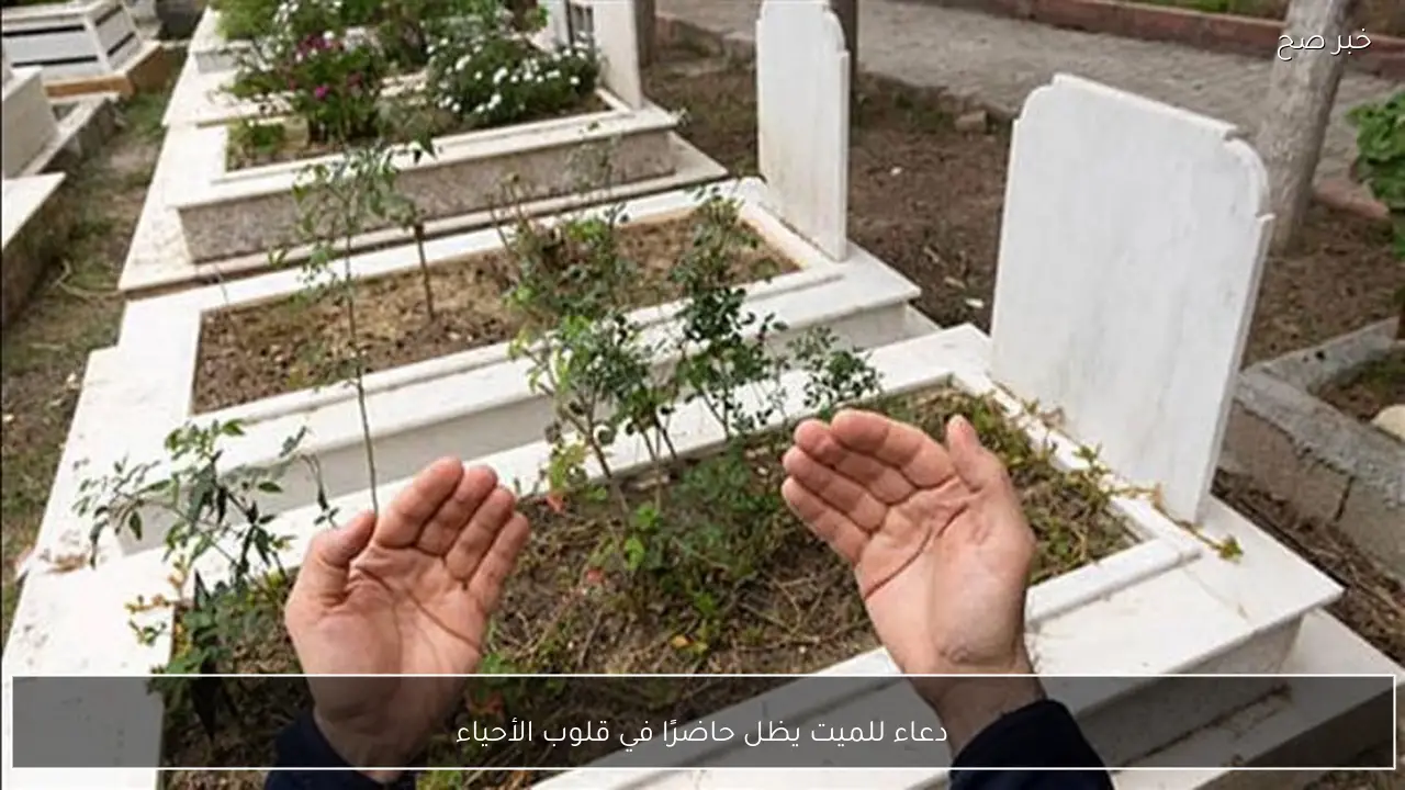 دعاء للميت يظل حاضرًا في قلوب الأحياء