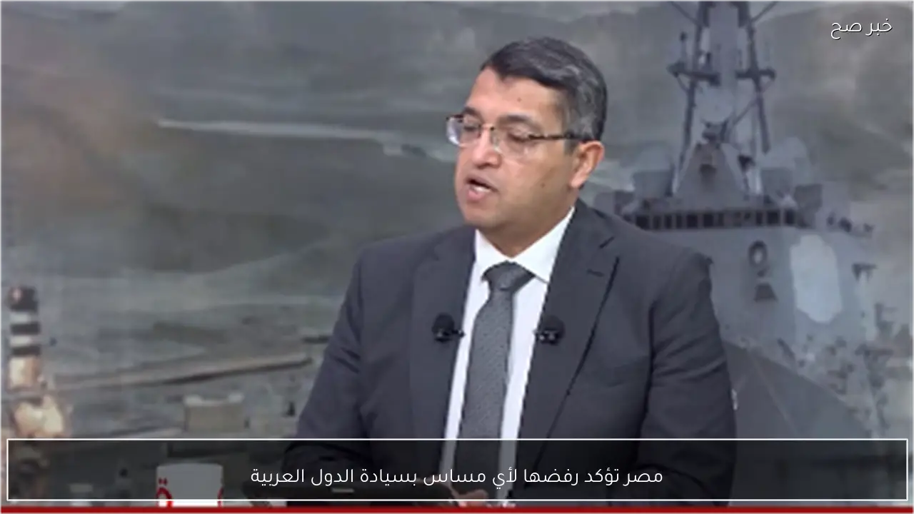 مصر تؤكد رفضها لأي مساس بسيادة الدول العربية