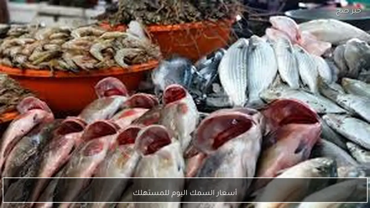 تباين أسعار السمك اليوم للمستهلك الاحد 1 مارس 2026 في سوق العبور للجملة والقطاعي