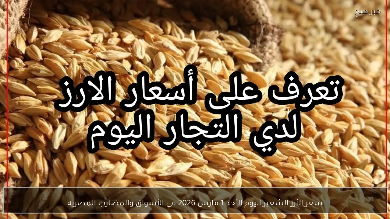 سعر الأرز الشعير اليوم الأحد 1 مارس 2026 في الأسواق والمضارب المصريه