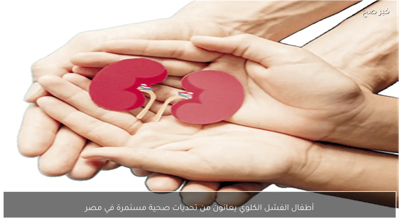 أطفال الفشل الكلوي يعانون من تحديات صحية مستمرة في مصر