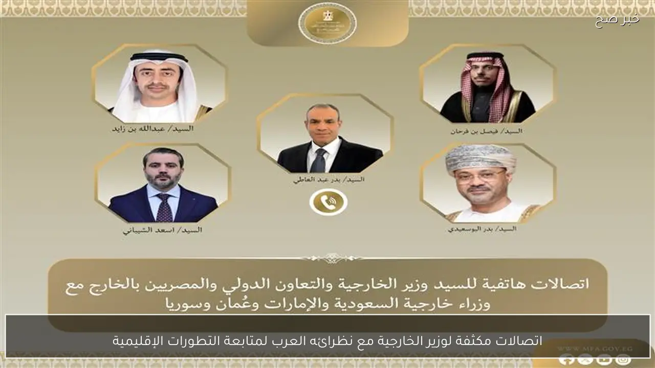 اتصالات مكثفة لوزير الخارجية مع نظرائه العرب لمتابعة التطورات الإقليمية