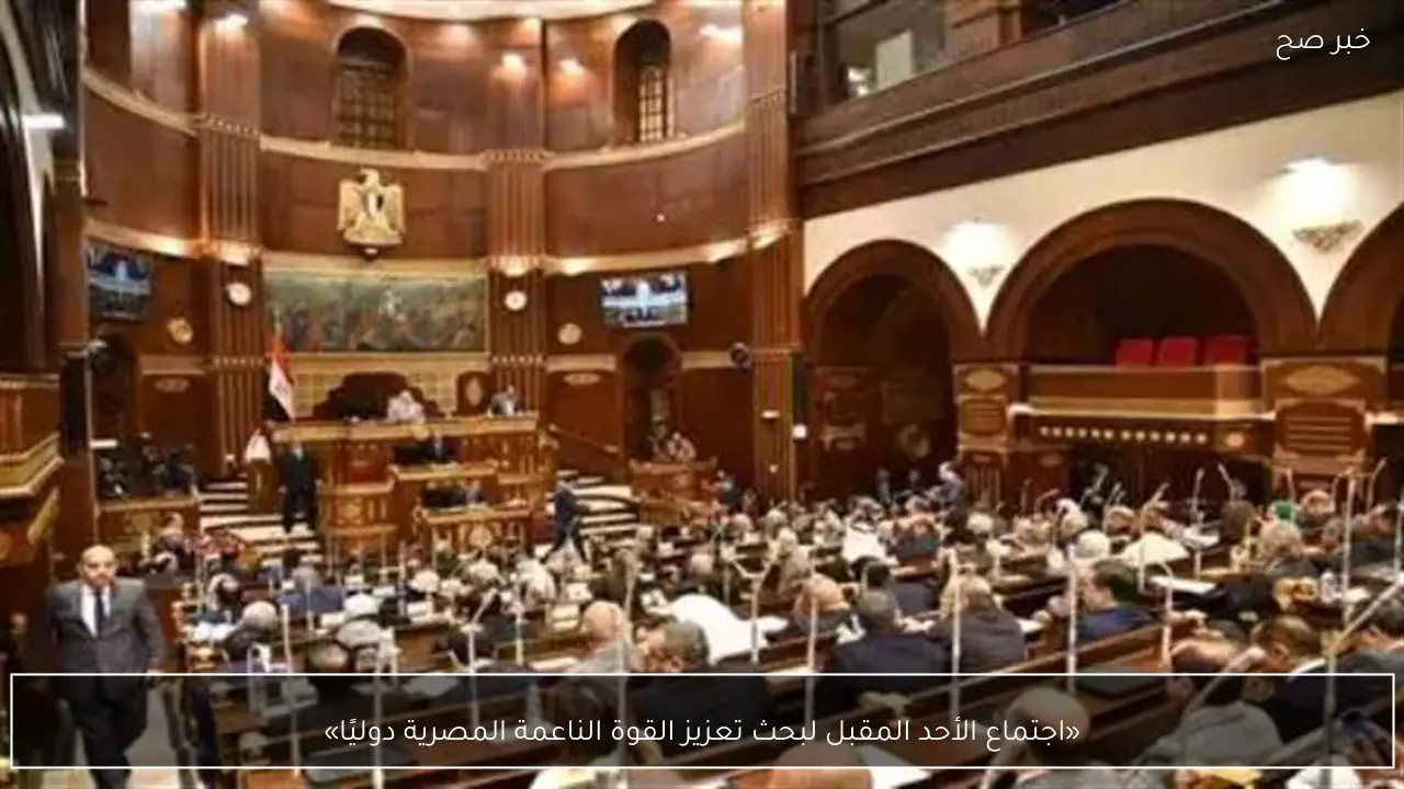 «اجتماع الأحد المقبل لبحث تعزيز القوة الناعمة المصرية دوليًا»