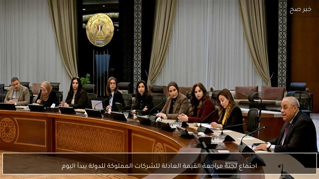 اجتماع لجنة مراجعة القيمة العادلة للشركات المملوكة للدولة يبدأ اليوم