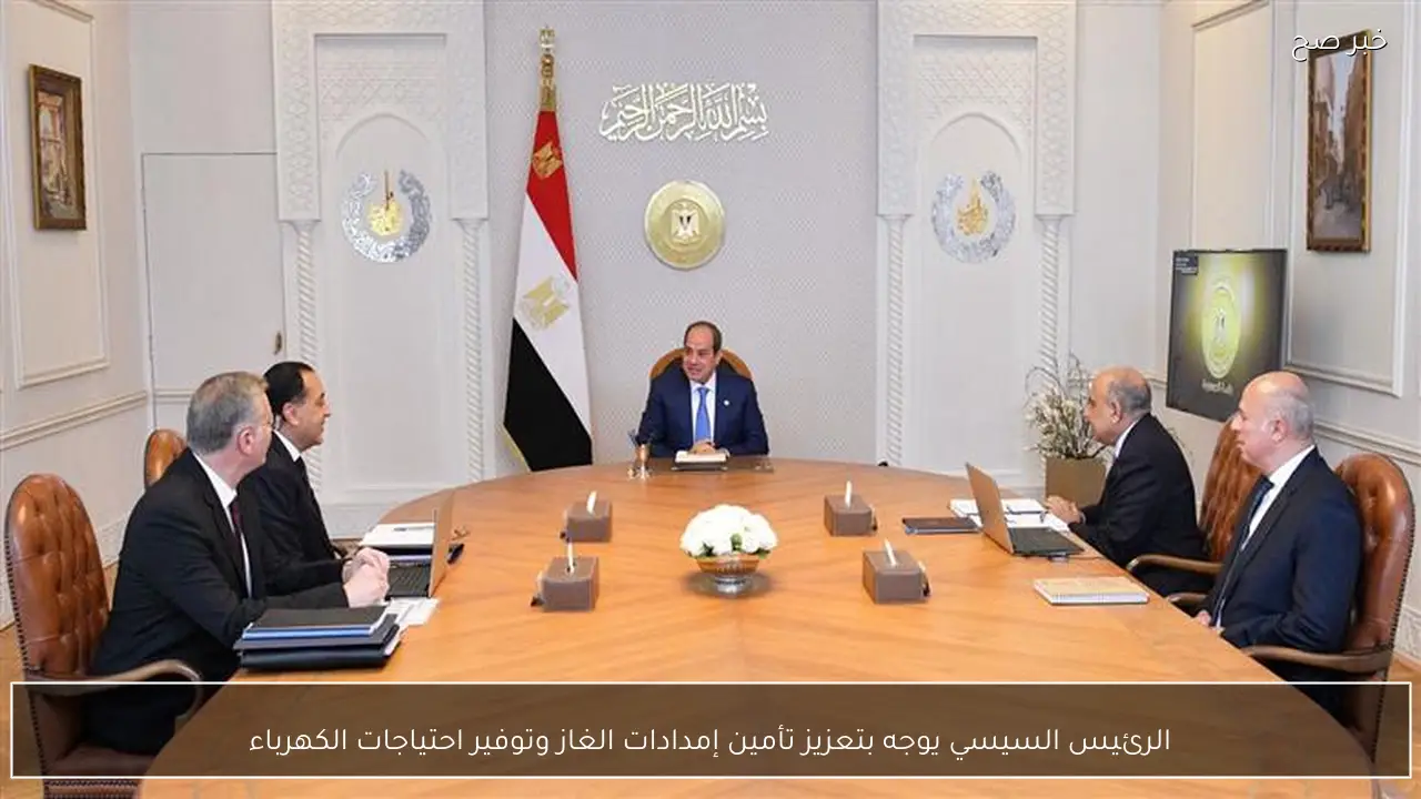 الرئيس السيسي يوجه بتعزيز تأمين إمدادات الغاز وتوفير احتياجات الكهرباء