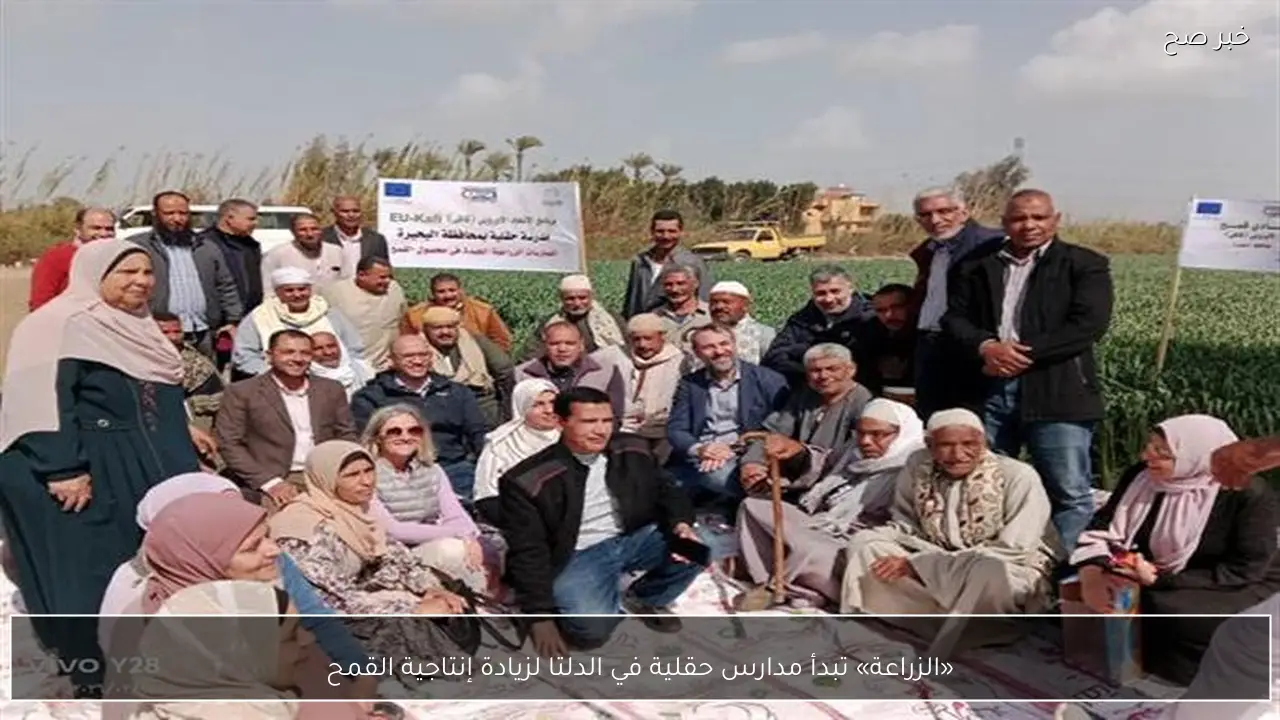 «الزراعة» تبدأ مدارس حقلية في الدلتا لزيادة إنتاجية القمح