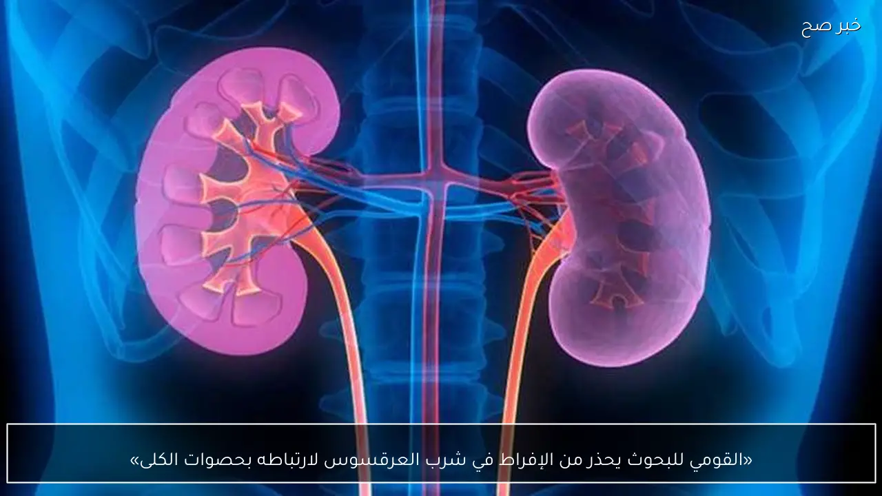 «القومي للبحوث يحذر من الإفراط في شرب العرقسوس لارتباطه بحصوات الكلى»