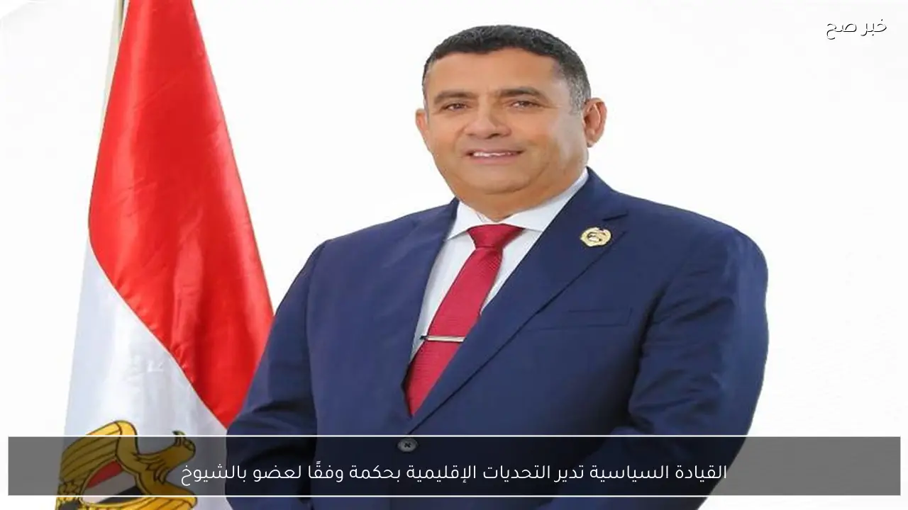 القيادة السياسية تدير التحديات الإقليمية بحكمة وفقًا لعضو بالشيوخ