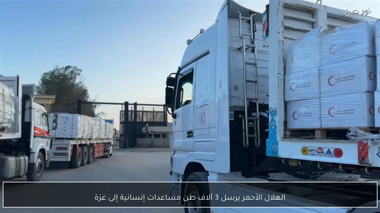 الهلال الأحمر يرسل 3 آلاف طن مساعدات إنسانية إلى غزة