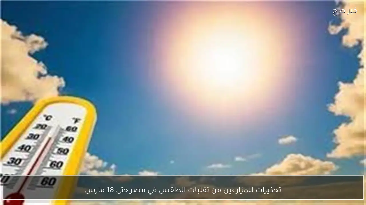 تحذيرات للمزارعين من تقلبات الطقس في مصر حتى 18 مارس