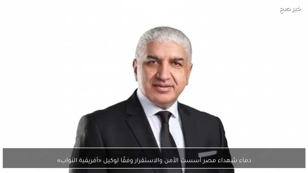 دماء شهداء مصر أسست الأمن والاستقرار وفقًا لوكيل «أفريقية النواب»