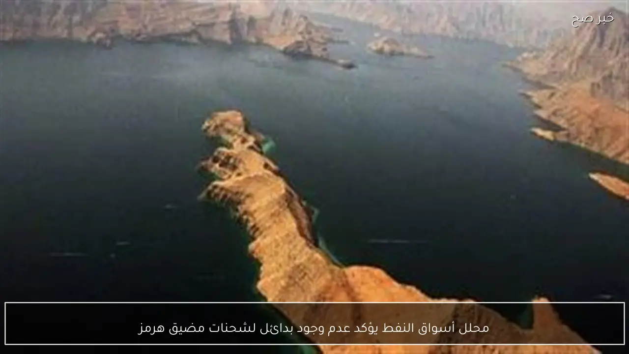 محلل أسواق النفط يؤكد عدم وجود بدائل لشحنات مضيق هرمز